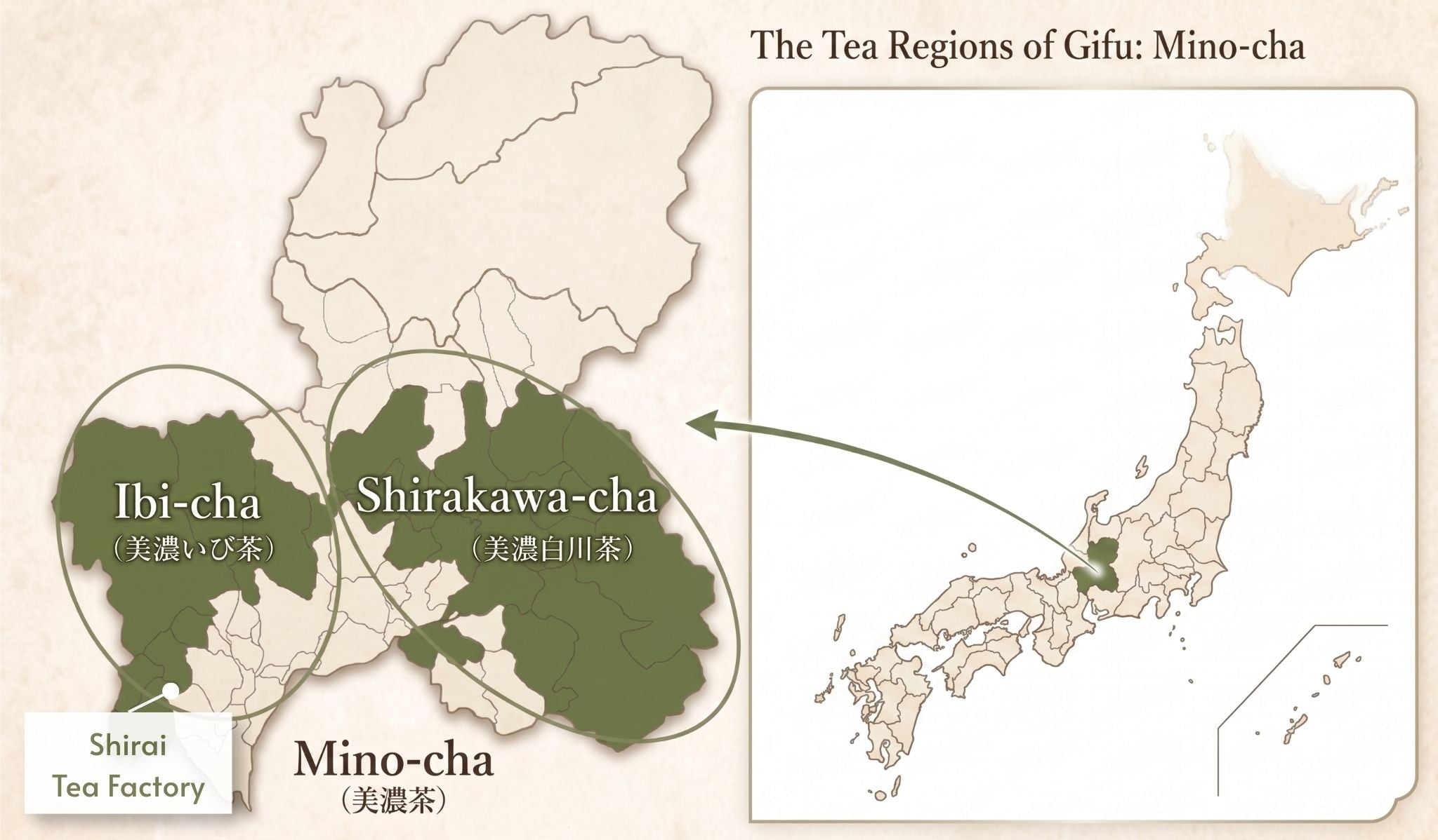 1082.G1 Shirai Tea Factory: Matcha 