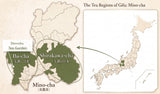 #1069.G1 Denroku Tea Garden: Ancient Mist - Bancha｜霧の古来茶 - 番茶