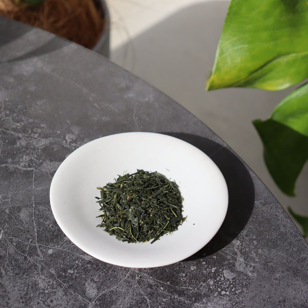 #0696.K6 Uejima Tea Farm: Single Cultivar Hoshun Sencha from Wazuka, Kyoto