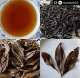 Chiyonoen Tea Garden: #21A Mountain-Grown Yame Black Tea, Single Cultivar Kanaya Midori Spring【矢部紅茶】かなやみどり 春摘み
