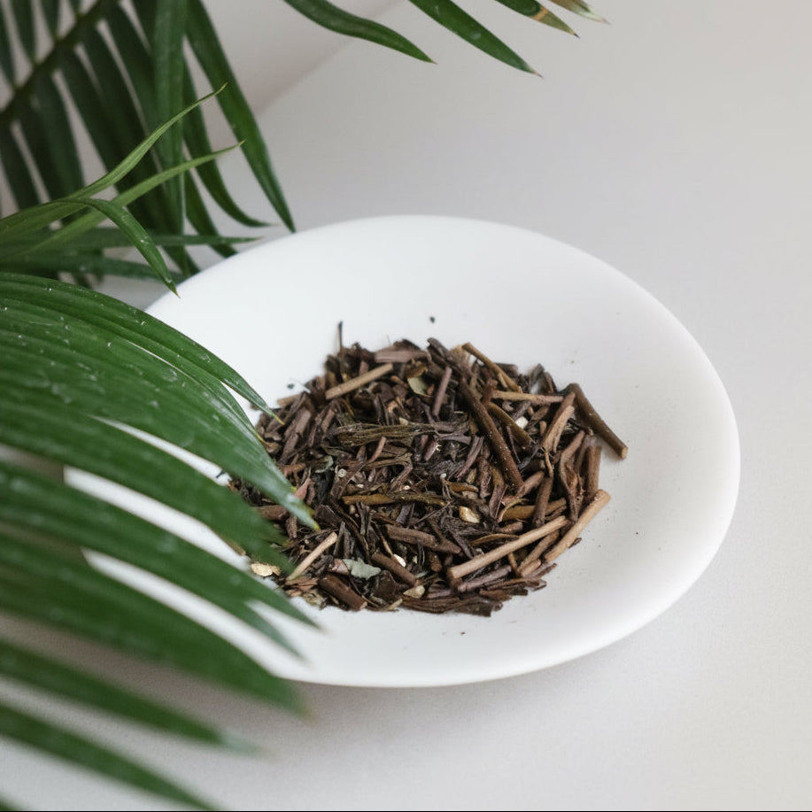 1069.G1 Denroku Tea Garden: Ancient Mist - Bancha｜霧の古来茶