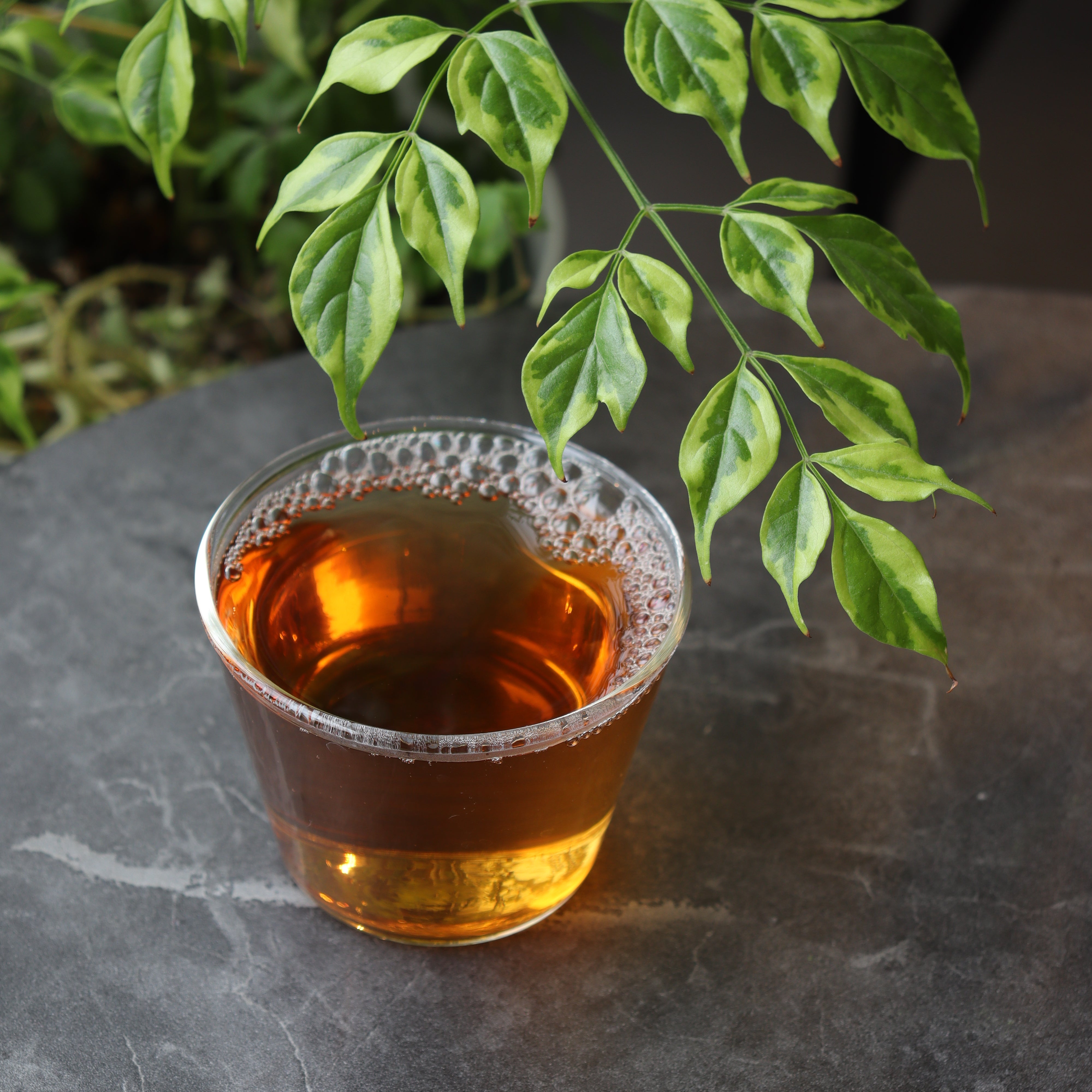 0211.S5 Dobashien Tea #18: Kakegawa Series: Premium Shizuoka