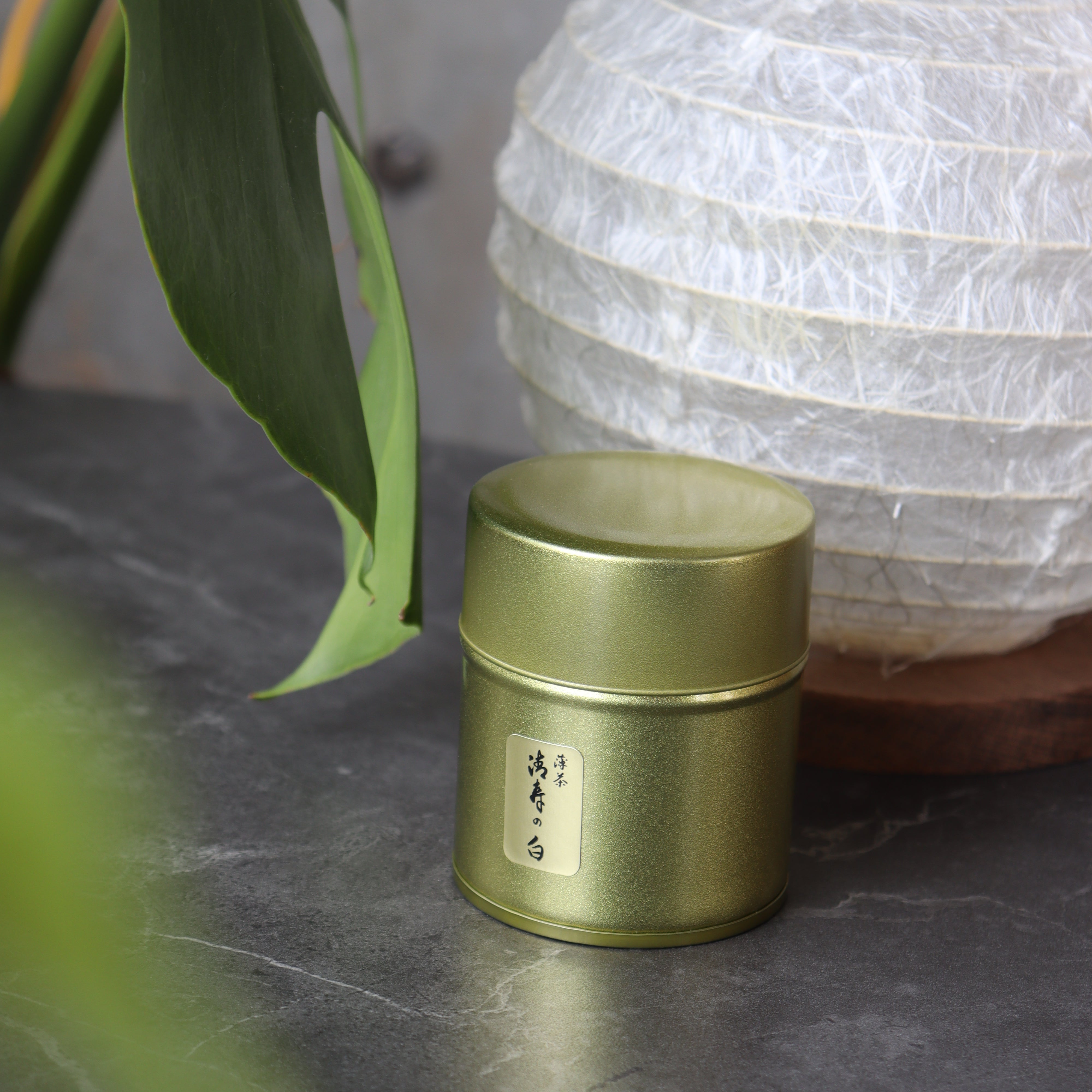 0870.S5 Chikumeido: Usucha Matcha Seiju no Shiro 抹茶【清寿