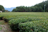 #1057.G1 新田製茶: 特選ほうじ茶