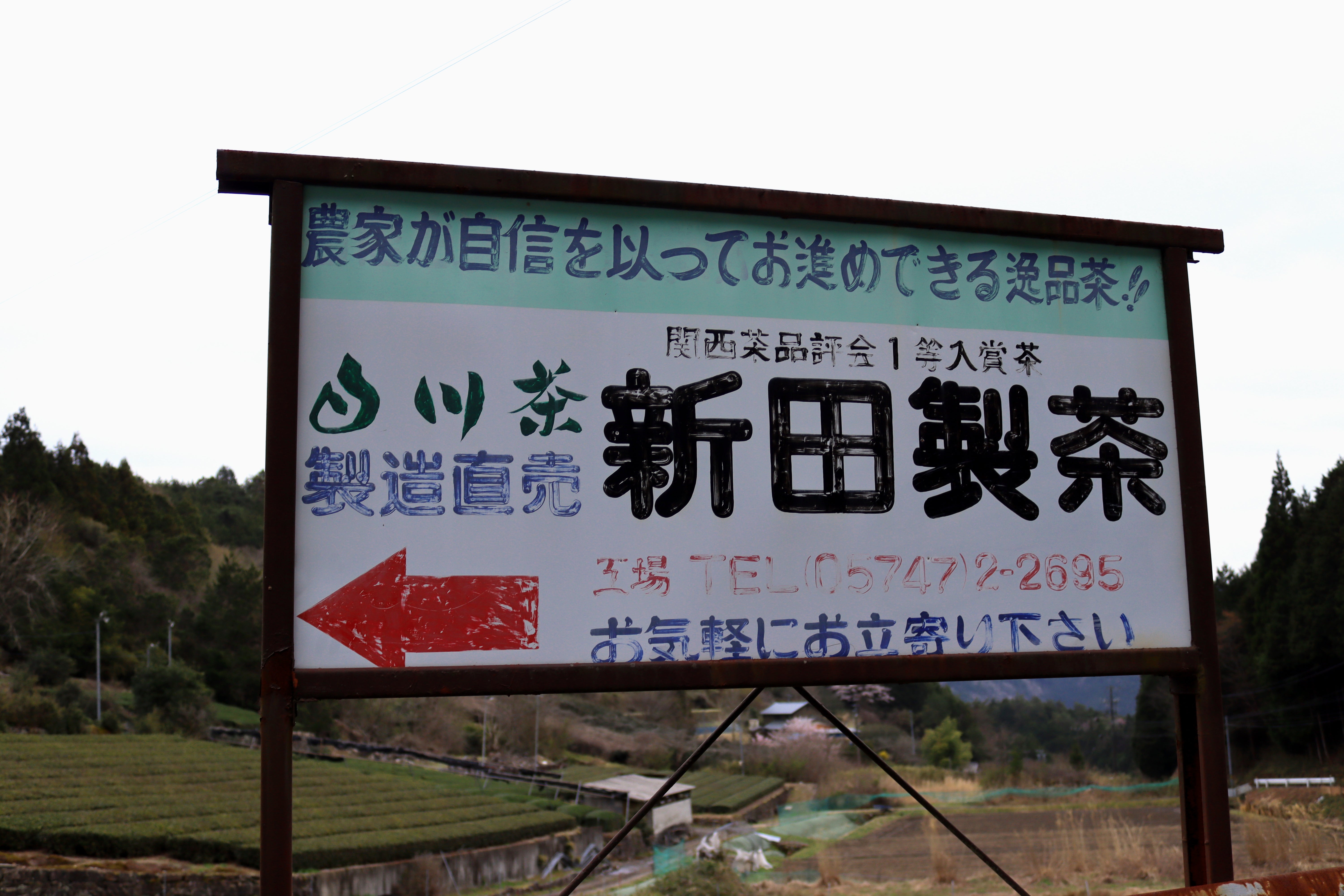 1054.G1 Nitta Tea Farm: 2026 Premium Sencha – Yunomi.life