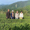 NaturaliTea: Genmaicha Brown Rice Green Tea, Grown Pesticide Free 無農薬茶：玄米茶
