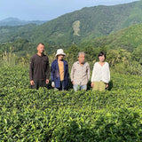NaturaliTea #18: 2023 Organic Premium Kabuse Sencha 有機一番摘み煎茶: 冠(かぶせ)茶