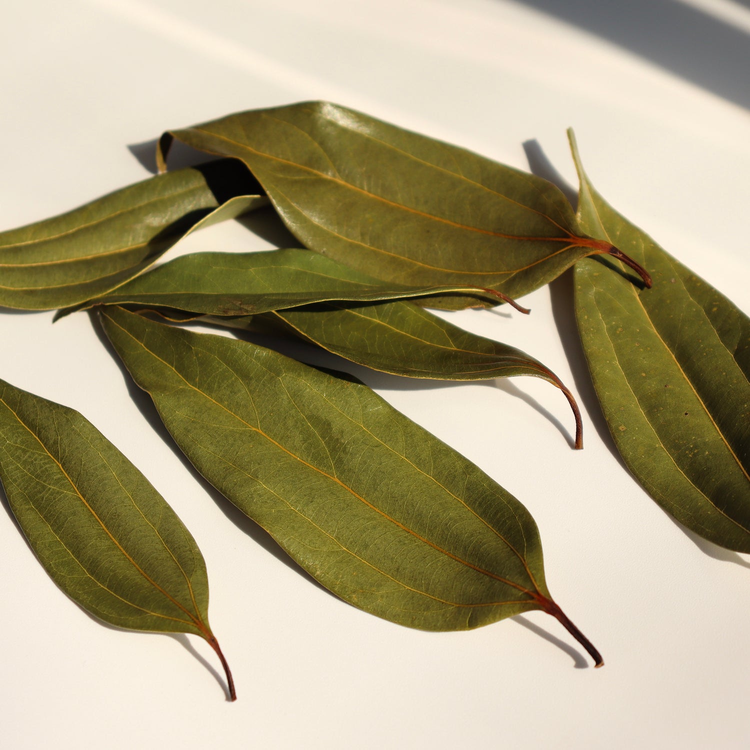 Kugani Kitchen: Karaki Okinawan Cinnamon Leaf Tea yunomi.life