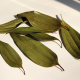 Kugani Kitchen: Karaki Okinawan Cinnamon Leaf Tea yunomi.life