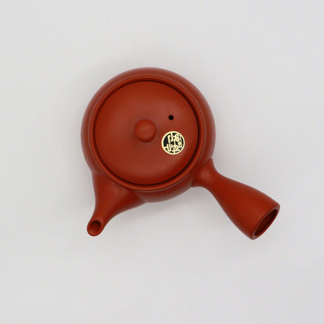 (Last one unit) Isobe Ceramics : Tokoname Kyusu 360 ml - strainer size : 66mm yunomi.life