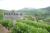#1072.01 : 2026 Takase Tea Coop : Premium Sencha "Sanuki" / 特上煎茶「讃岐」
