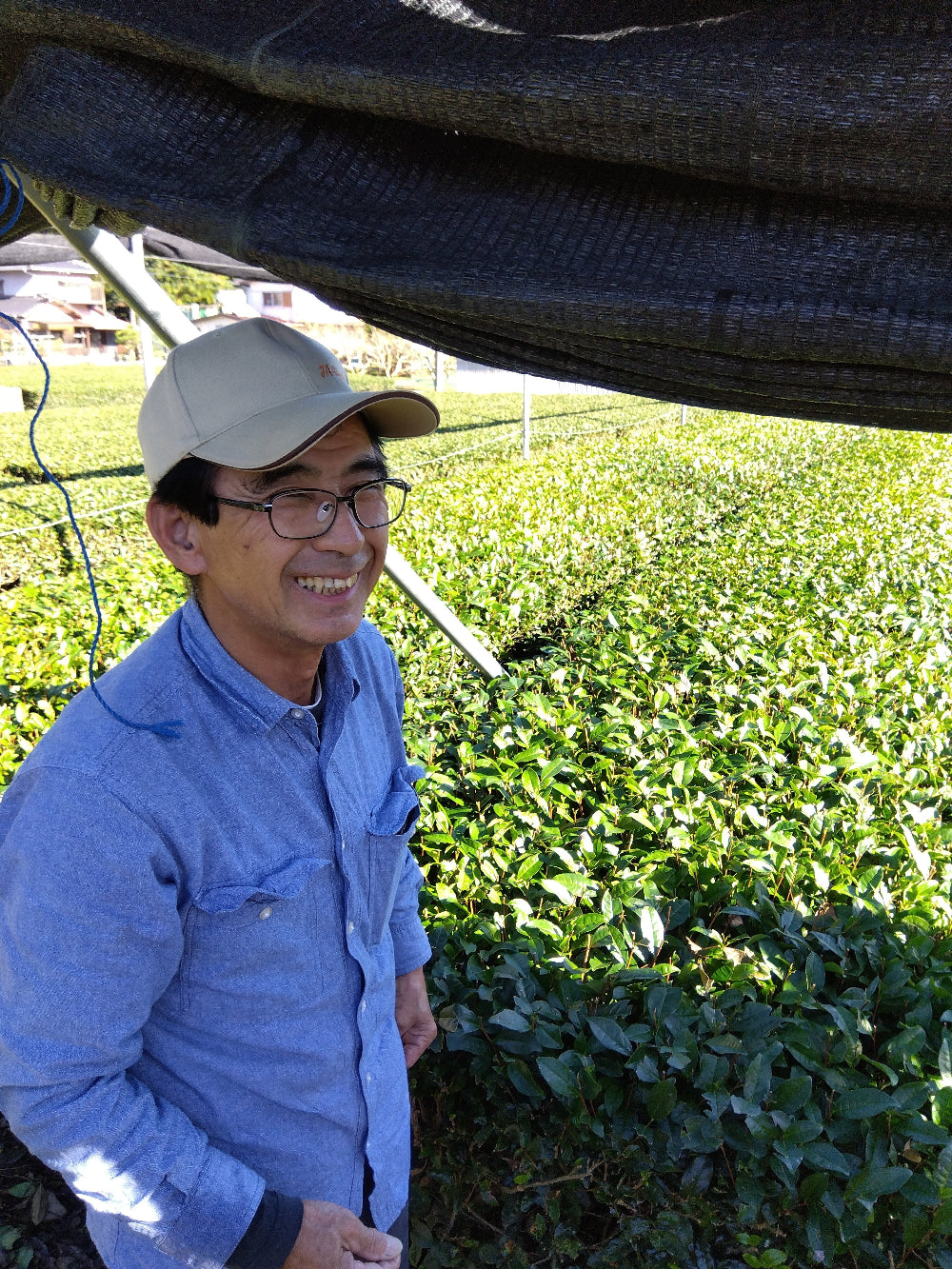 Honyama Matcha - korkealuokkainen kulinaarinen laatu 