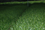 honyama superior matcha field canopy shading