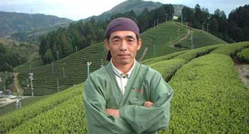 Uejima Tea Farm: Single Cultivar Gokou Sencha from Wazuka, Kyoto