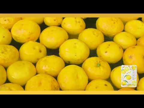 Kakuya Foods: Yuzu no Manma 柚子のまんま（おつまみ柚子） – Yunomi.life