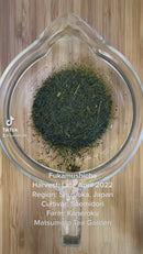 Kaneroku Matsumoto Tea Garden: 2022 Unshaded, Limited Edition Saemidori Single Cultivar Fukamushicha