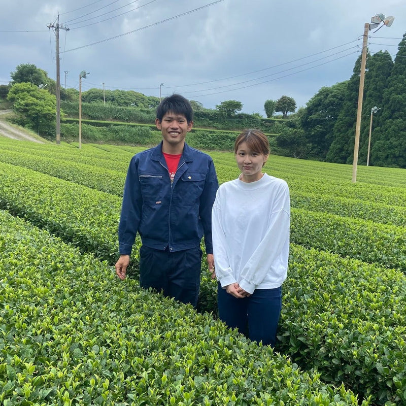 Iba Yu Tea Garden: 2023 Tanegashima Single Cultivar Sencha - Nanmei (micro batch, limited)