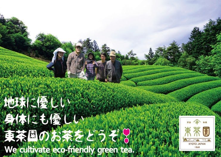 0087.K6 Azuma Tea Garden: All-Purpose Matcha (Premium Culinary