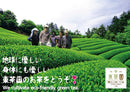Azuma Tea Garden: "Wazuka no mukashi" Matcha Cultivar Series Gokou, Standard Ceremonial Grade 和束の昔 - Yunomi.life