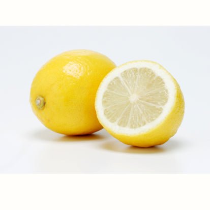 Chasandai: Cold-Brew Lemon Green Tea (5g x 5 tea bags) - Yunomi.life