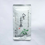 Chiyonoen Tea Garden: #04: 2023 Mountain-Grown Single Cultivar Sencha, Yama no Ibuki 山の息吹