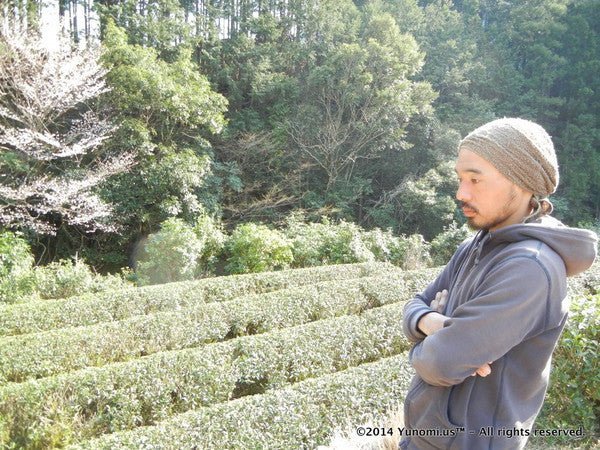 Dokodemosora #02: Naturally Grown Wakayama Superior Hojicha Roasted Green Tea - Yunomi.life