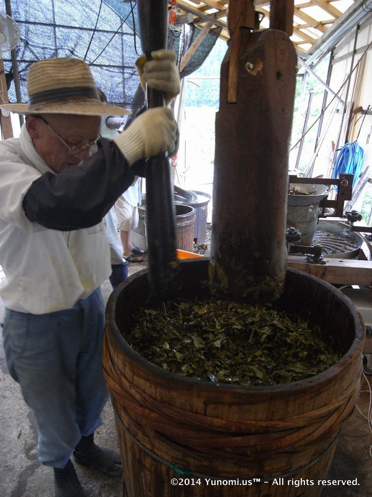 0302.T2 Furyu: Awa Bancha ふりゅう 阿波番茶 – Yunomi.life