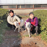 Tarui Tea Farm: Organic Sencha Ranryu, The Orchid Dragon - Single Cultivar Inzatsu #131 有機 蘭龍