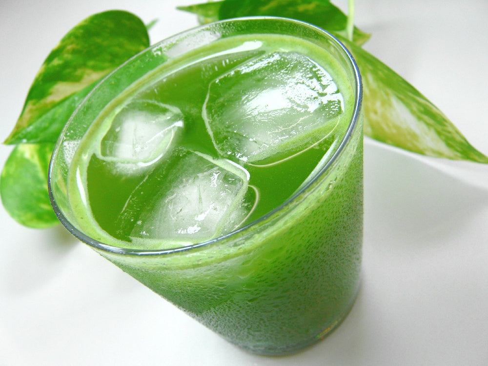 万年: Momo Matcha - Japanese Peach Matcha Tea 桃抹茶 – Yunomi.life