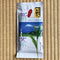 Kanes Tea: 2022 Ohashiri, Premium Fukamushi Sencha, First Flush, Spring Harvest 献上やぶ北 (新茶名：大走り) - Yunomi.life
