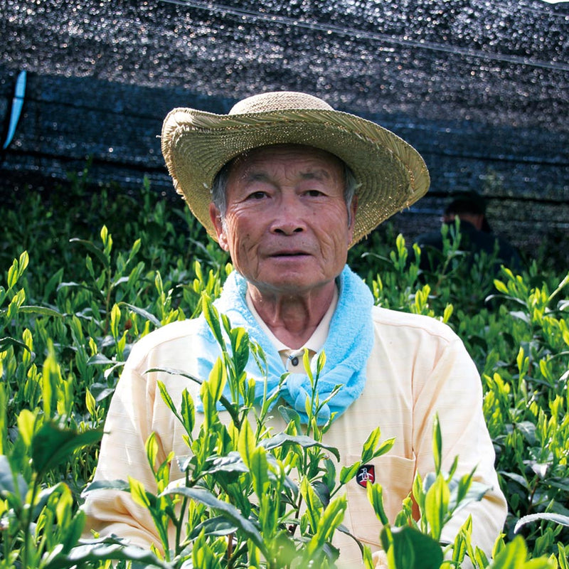 Kaneta Ota Tea Garden: Micro batch 2022 Sencha, Single Cultivar Yume Suruga - Yunomi.life