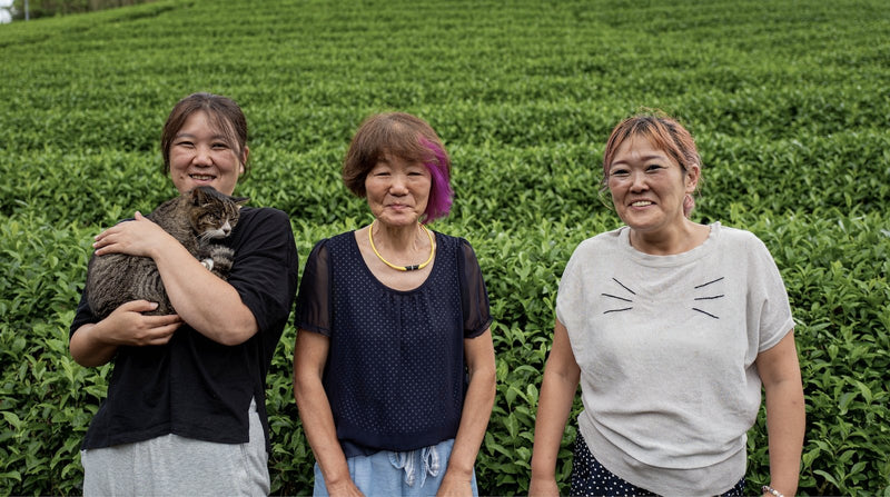 Kiroku Tea Garden: Single Cultivar Saemidori Matcha from Wazuka, Kyoto - Yunomi.life
