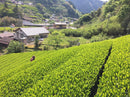 Kiyosawa Tea Gardens: Shizuoka Spring Asamushi Sencha by Farmer Sugiyama Yachiyo - Yunomi.life