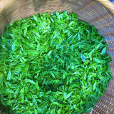 Kurihara Tea #01: 2022 Takumi 匠 (The Artisan) - Kurihara Heritage Gyokuro Green Tea - Yunomi.life