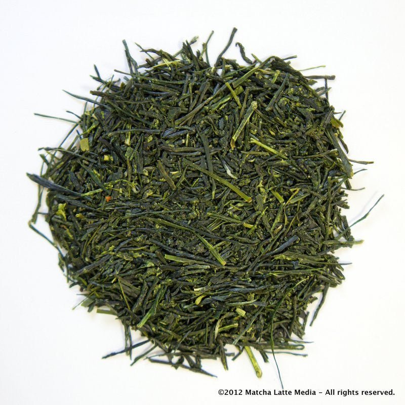 Morita Tea Garden #01: 2022 Premium Sayama Sencha, Suiren 睡蓮 - Yunomi.life
