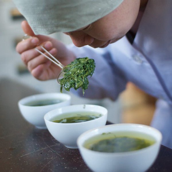 NaturaliTea #02: 2022 Hachijyuhachiya Sencha Green Tea, Spring Midori First Flush 有機八十八夜摘み 春の香みどり - Yunomi.life