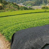 NaturaliTea #18: 2022 Organic Premium Kabuse Sencha 有機一番摘み煎茶: 冠(かぶせ)茶 - Yunomi.life