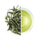 Obubu #08: Yanagi Bancha, Green Tea - Yunomi.life