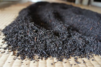 Ogura Tea Garden: Yabukita Wakocha First Flush Black Tea from Ashigara, Kanagawa 足柄産のやぶきた紅茶 - Yunomi.life