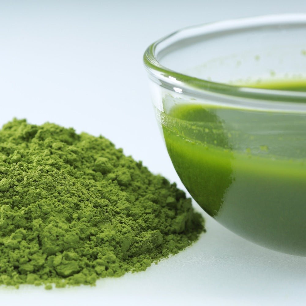 もて茶って】無農薬 抹茶100g x 6袋 Matcha 無農薬(Pesticide-free