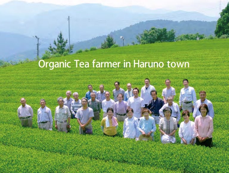 Osada Tea: Organic Yamabuki Nadeshiko, Kurokoji Fermented Tea 有機山吹撫子 - Yunomi.life