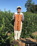 Shuchi Tea Garden: Fukamushicha Green Tea, Kirari 31 Single Cultivar, 2022 Nihoncha Awards Platinum Medal Winner, Refined by Osada Tea - Yunomi.life