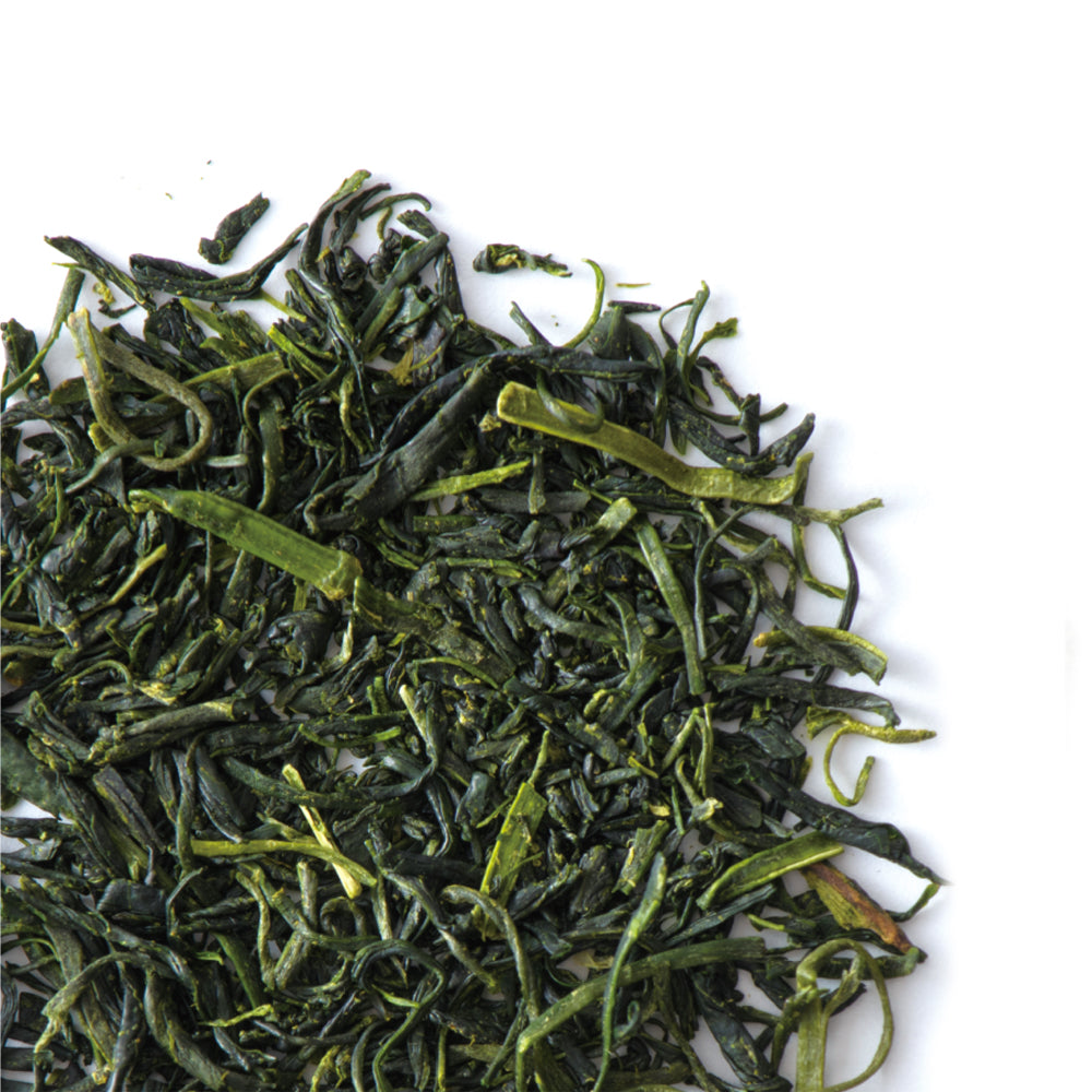 KU002 Tomizawa Tea Garden: Kabusecha Saemidori Kumamoto Guricha "Green Tea.Lab" 単02 かぶせ茶 冴え緑 (JAS Organic)
