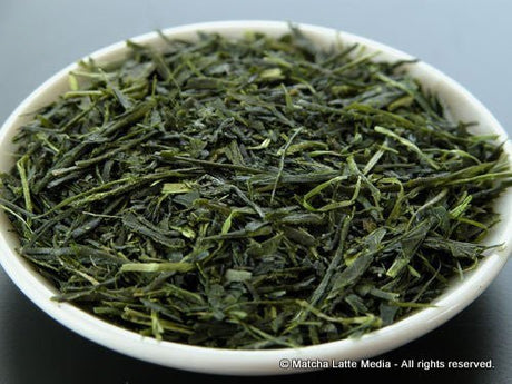 Takeo Tea Farm: 2022 Organic Spring Sencha Green Tea, Kodawari #1 Imperial 極上こだわり - Yunomi.life