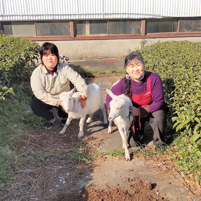 Tarui Tea Farm: Organic Genmaicha Powder 有機粉末玄米茶 - Yunomi.life