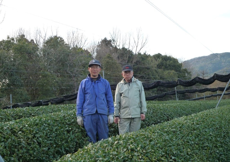 Tea Farmer Shinichi Kihara: 2022 Naturally Grown Kyoto Kabusecha (Single Cultivar Gokou) 自然栽培かぶせ茶ごこう - Yunomi.life