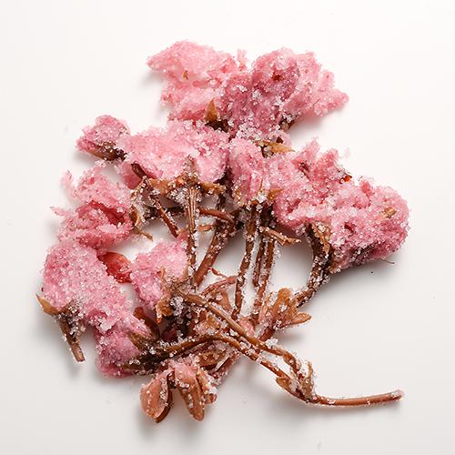 Tomiz: Salt-Pickled Sakura Blossoms (Japanese-grown) 桜花の塩漬