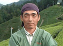 Uejima Tea Farm: Wazuka Sencha Superior Samidori 上煎茶 - Yunomi.life