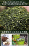 Wakoen Tea Farm: 2022 Kagoshima Fukamushicha - Miyabi 和香園 深蒸し茶 雅 - Yunomi.life