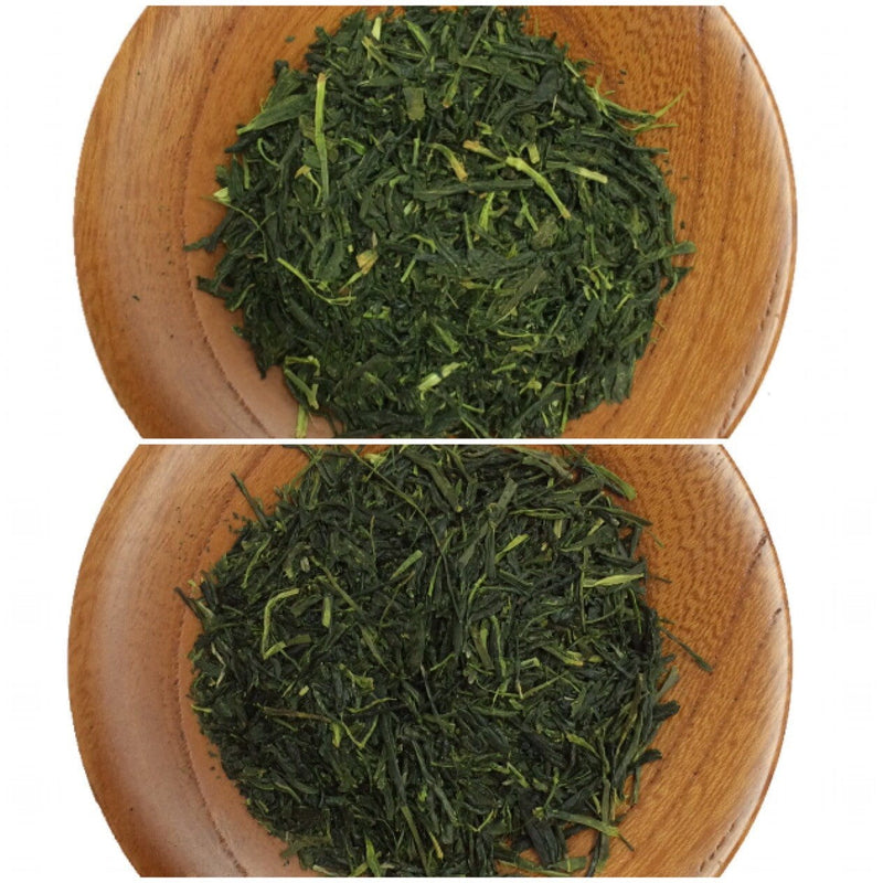 Yunomi Dojo Lesson 201: Refining the leaf: Aracha (unrefined) vs (refined) Sencha tea - Yunomi.life